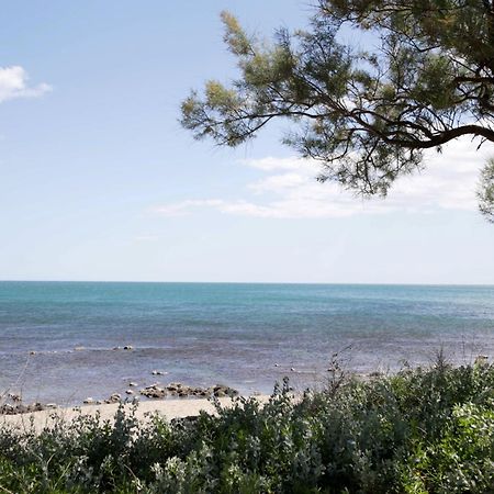 Apartamento Centre Port,Vue Panoramique,Clim,Balcon,Wifi Agde Exterior foto